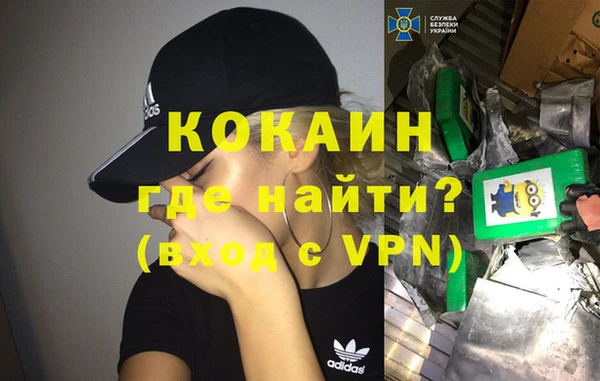 гашик Алексеевка