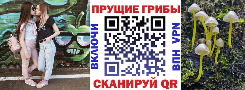 Псилоцибиновые грибы Psilocybe  Белорецк 